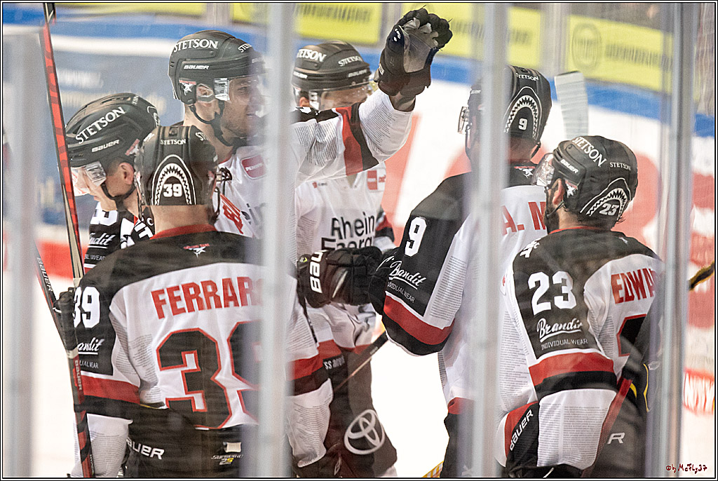 PENNY DEL;  Iserlohn Roosters - Koelner Haie; Koeln, 05.12.2021